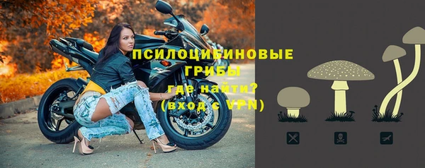 мет Белокуриха