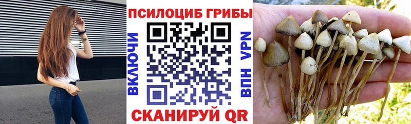Галлюциногенные грибы Magic Shrooms  купить наркотик  kraken tor  Афипский 
